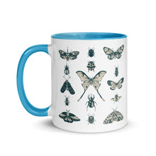 Load image into Gallery viewer, 11 oz. white ceramic coffee/tea mug with solid light blue handle, rim, and inside. Image Design: vintage beige and blue print images of various moths, butterflies, and beetles, all arranged in rows and columns. Left hand side view. Halloween, spooky season.