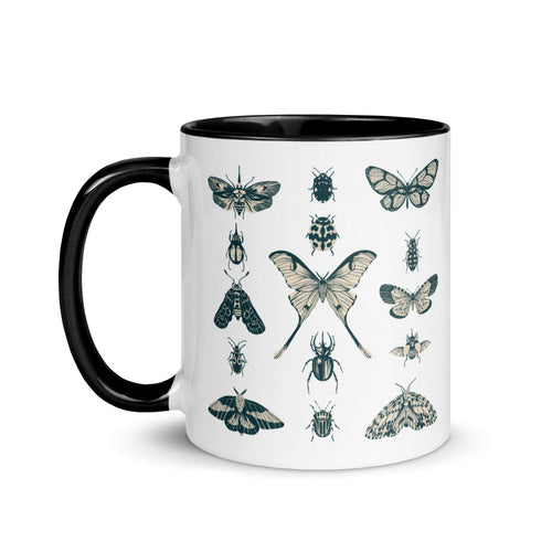 11 oz. white ceramic coffee/tea mug with solid black handle, rim, and inside. Image Design:  vintage beige and blue print images of various moths, butterflies, and beetles, all arranged in rows and columns. Left hand side view. Halloween, spooky season.