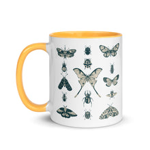 Load image into Gallery viewer, 11 oz. white ceramic coffee/tea mug with solid golden yellow handle, rim, and inside. Image Design:  vintage beige and blue print images of various moths, butterflies, and beetles, all arranged in rows and columns. Left hand side view. Halloween, spooky season.
